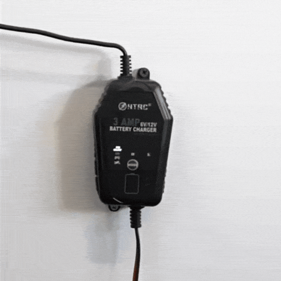 chargeur batterie voiture 6V 12V 3A