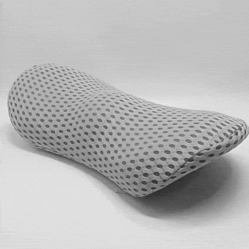 coussin lombaire voiture