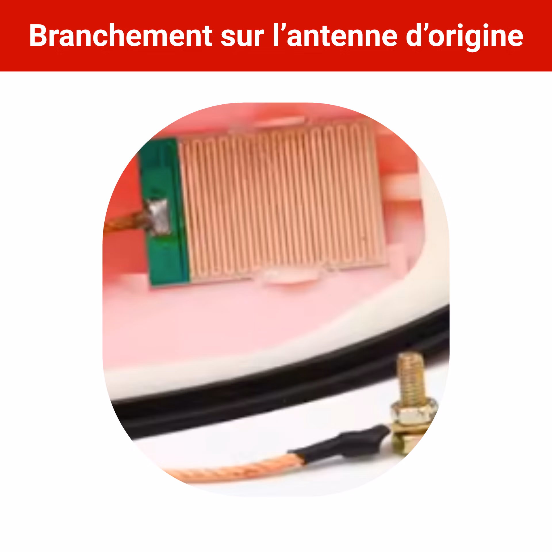 antenne voiture requin
