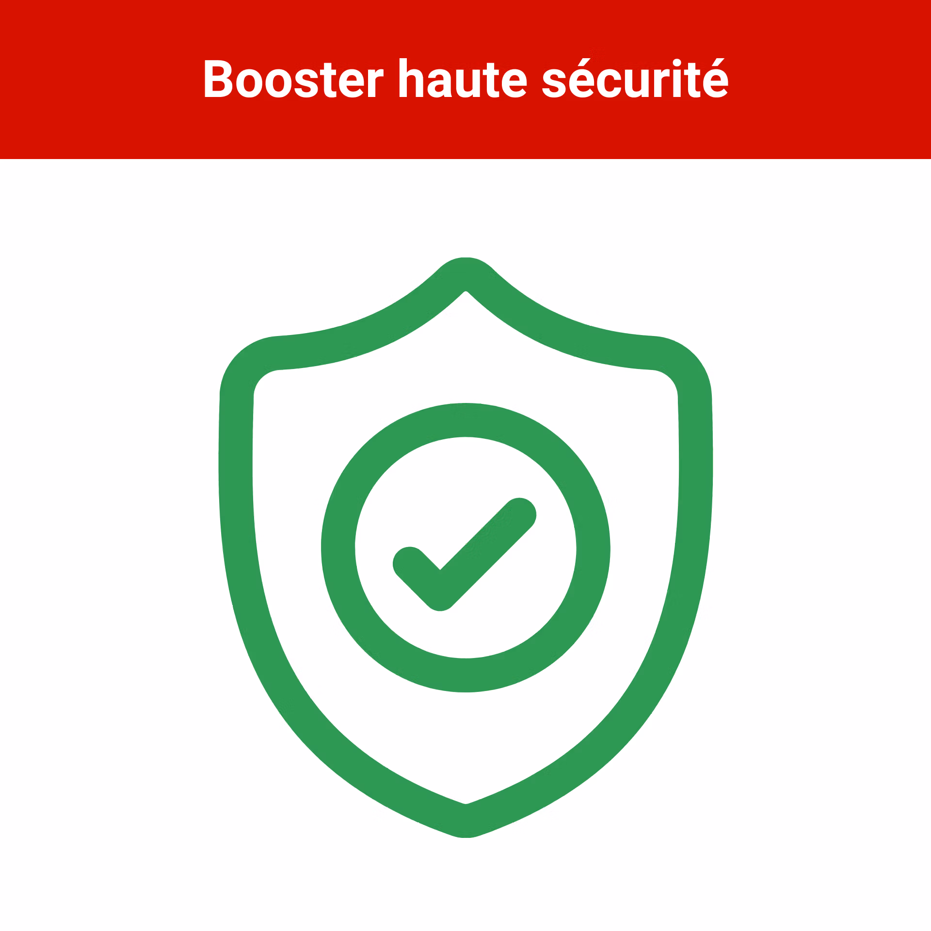 booster de batterie voiture